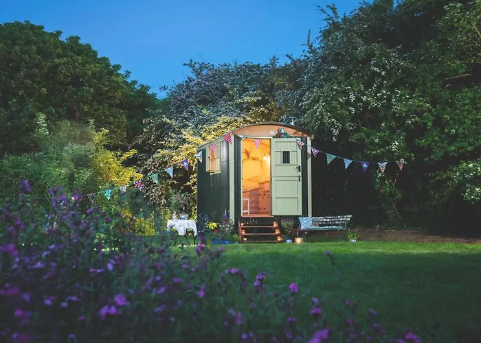 Elderflower Hut