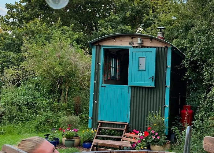 Elderflower Hut