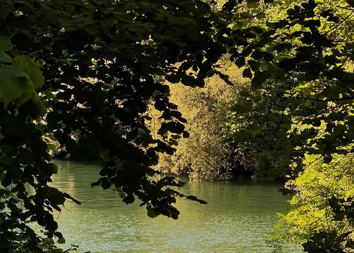 Elderflower Hut
